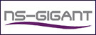 NS-gigant nekretnine